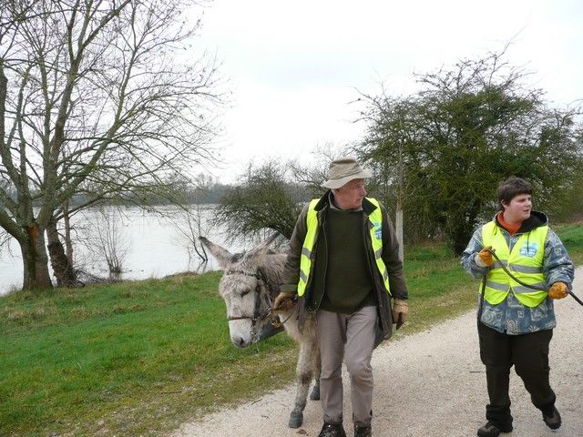 Loire propre 2014 (16).jpg